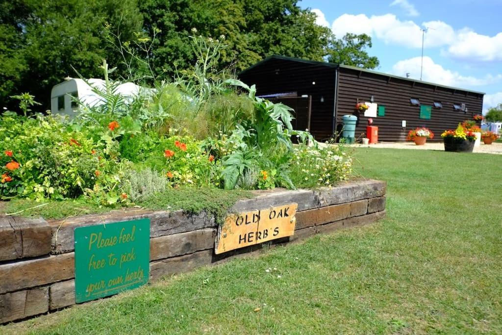 浦耳 Glamping At South Lytchett Manor酒店 外观 照片