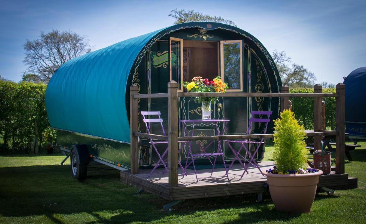 浦耳 Glamping At South Lytchett Manor酒店 外观 照片
